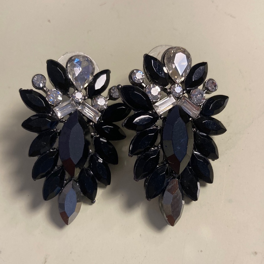ZARA Earrings